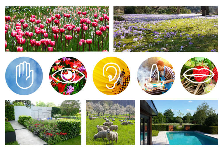 Newsletter zum Thema achtsames Naturerlebnis von Studio Diagonal.