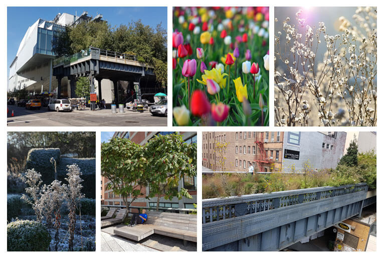 Impressionen zum Newsletter November 2017.