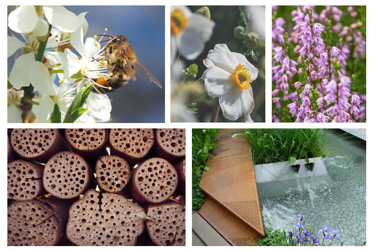 Bienen- und insektenfreundliche Gartengestaltung