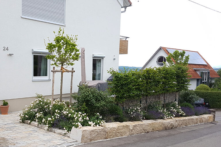 Höhenausgleich aus Kalksteinquadern. Sichtschutz aus Spaliergehölzen.